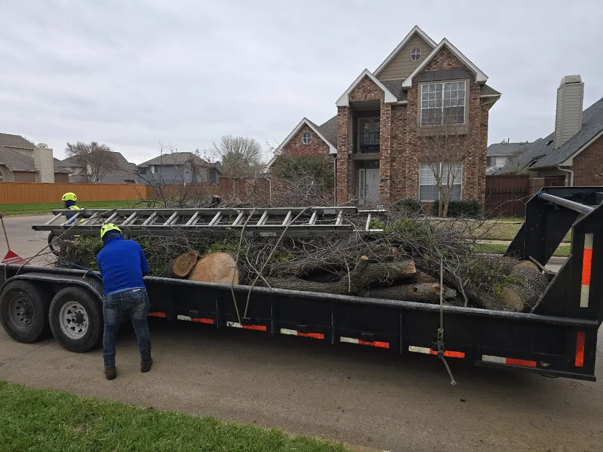 Expert Lot Clearing with proper safety equipment in Coin